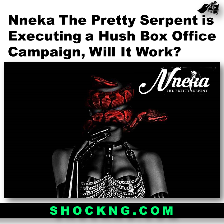 Nneka The Pretty Serpent is Executing a Hush Box Office CampaignWill It Work - Nneka The Pretty Serpent is Executing a Hush Box Office Campaign, Will It Work?