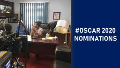 OSCAR 2020 NOMINATIONS 1 390x220 - #Oscar2020: Read Why Lionheart – Nigeria First Oscar Entry Caused Controversy  