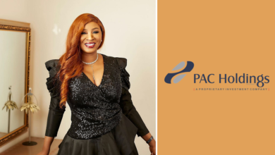 Chioma Udes PAC 50 Million deal 390x220 - PAC Capital Limited Commits $50 Million Production Investment For Chioma Ude’s Lavida Studio Film/TV Projects