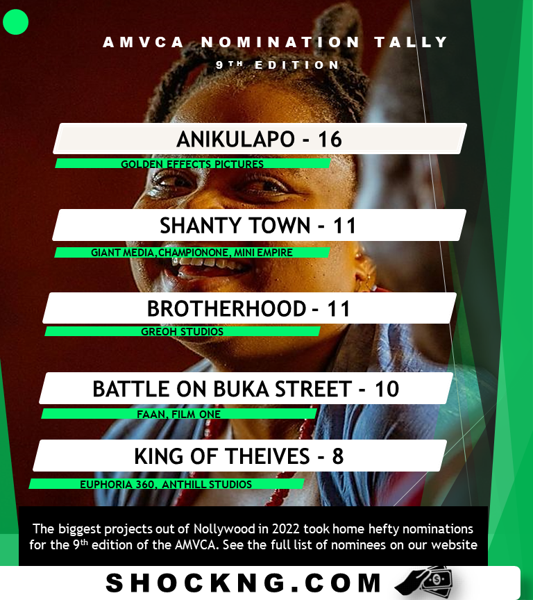 amvca summary nominations tally - AMVCA 2023 Nominees Roundup: Big Titles, Multiple Nods, Capricious Snubs!