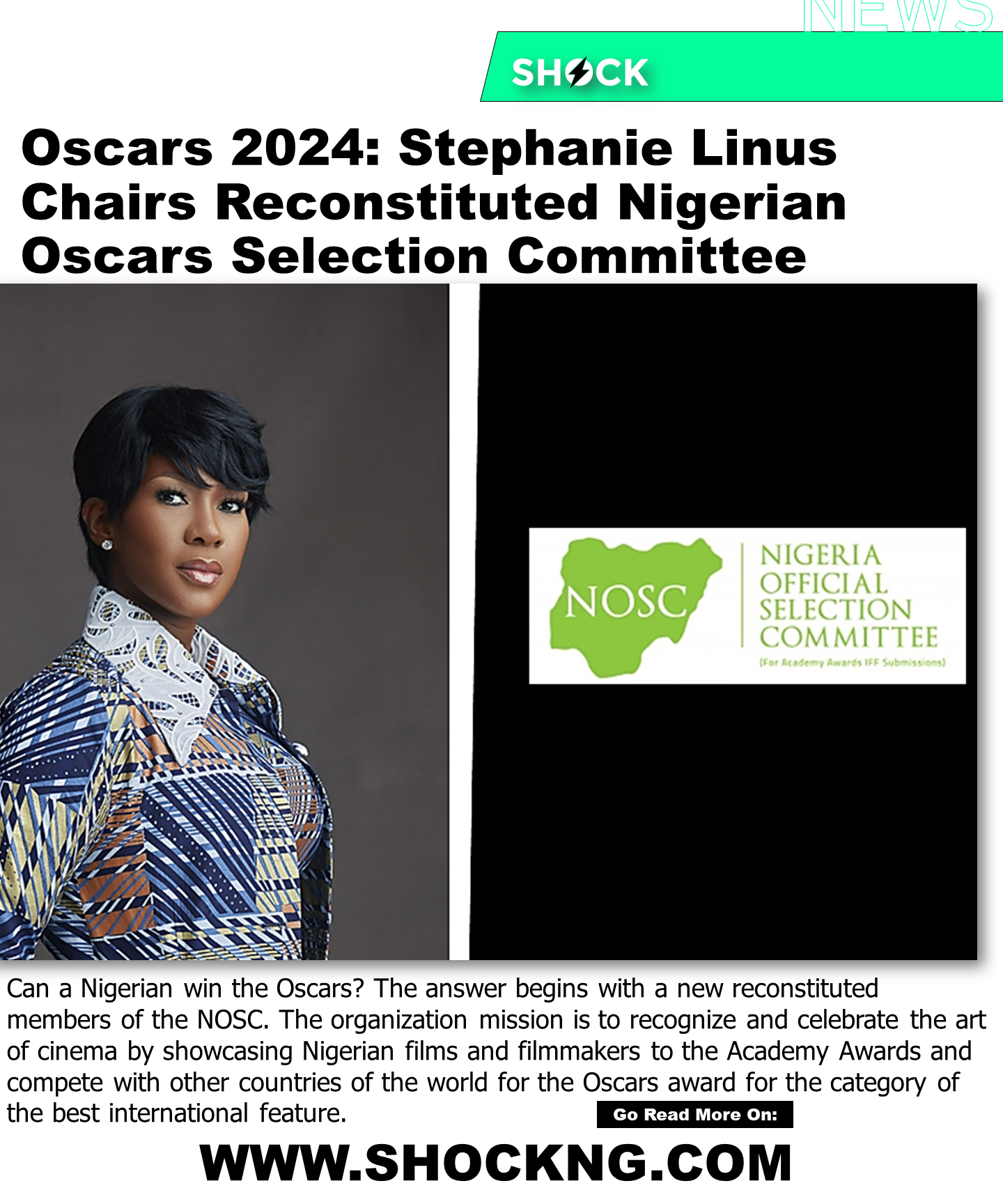 NOSC ne members 2023 - Oscars 2024: Meet The Newly Reconstituted NOSC 14 Member Chaired By Stephanie Linus